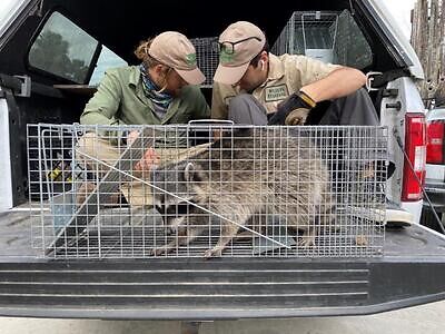 Jersey City pest control